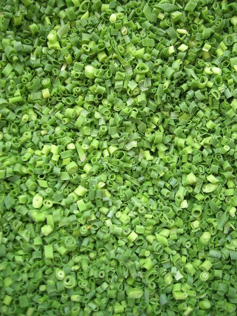 Chive