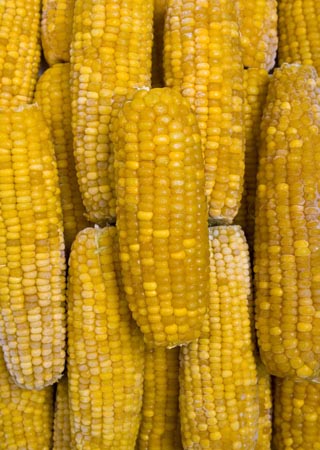 Sweet corn cobs