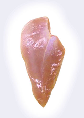 Chicken Breast Fillets salted