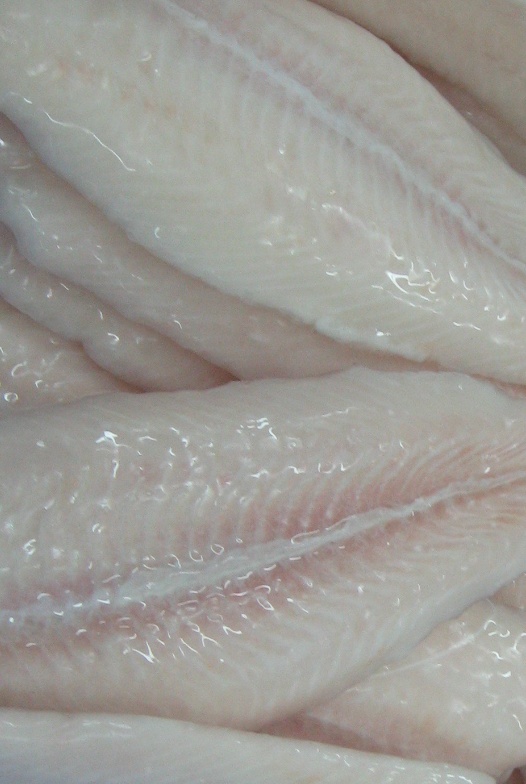 Pangasius fillet